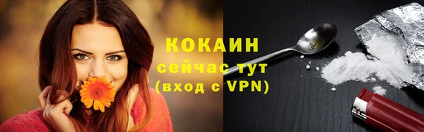 бошки Арсеньев